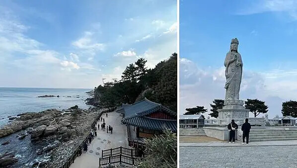 LINE_ALBUM_20241231江原道Day03_250117_117