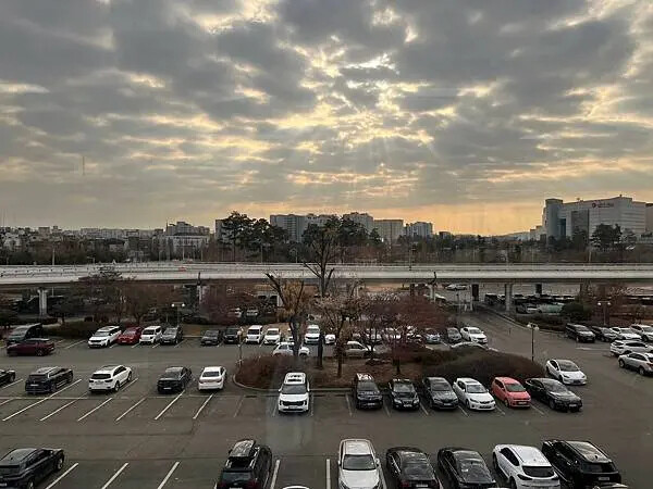 LINE_ALBUM_20250101韓國最後一天_250117_105