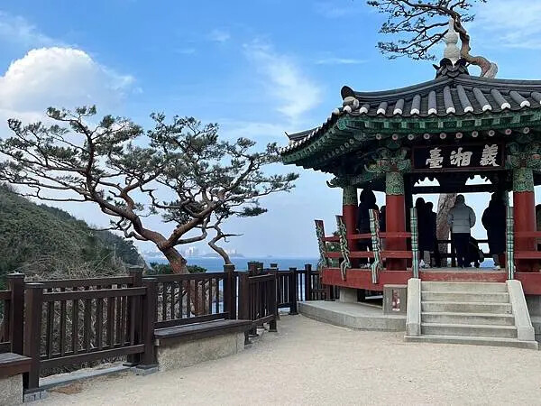 LINE_ALBUM_20241230江原道Day02_250117_56