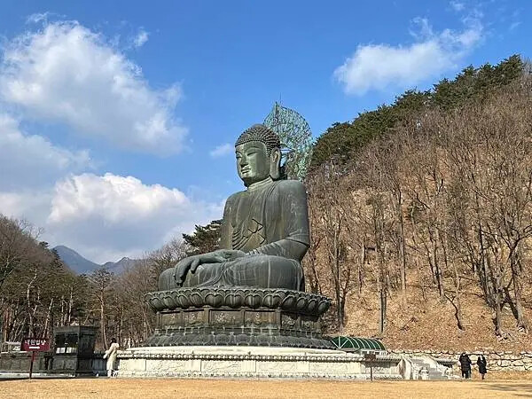 LINE_ALBUM_20241230江原道Day02_250117_178