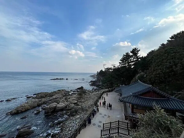 LINE_ALBUM_20241230江原道Day02_250117_44