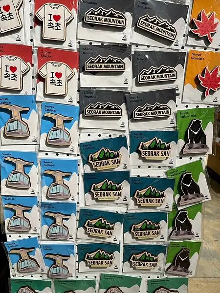 LINE_ALBUM_20241230江原道Day02_250117_222