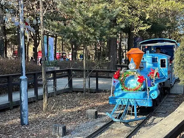 LINE_ALBUM_20241231江原道Day03_250117_197