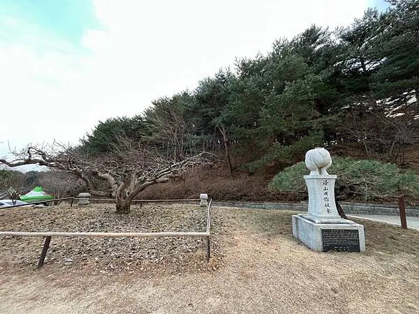 LINE_ALBUM_20241230江原道Day02_250117_373