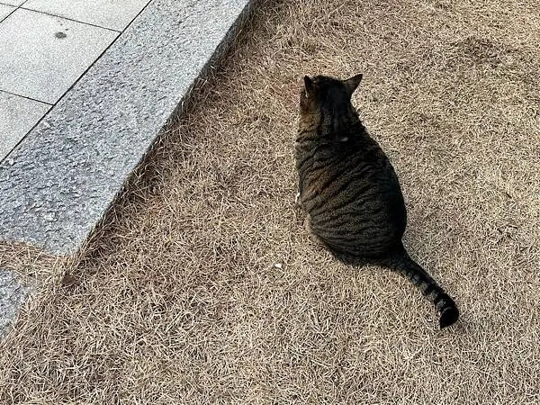 LINE_ALBUM_20241230江原道Day02_250117_59