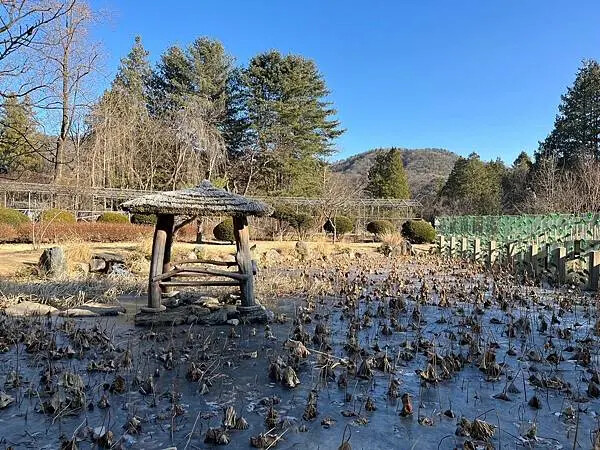 LINE_ALBUM_20241231江原道Day03_250117_189