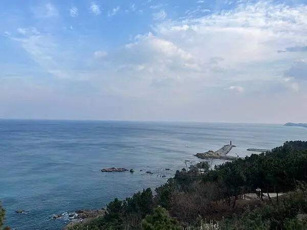 LINE_ALBUM_20241230江原道Day02_250117_13