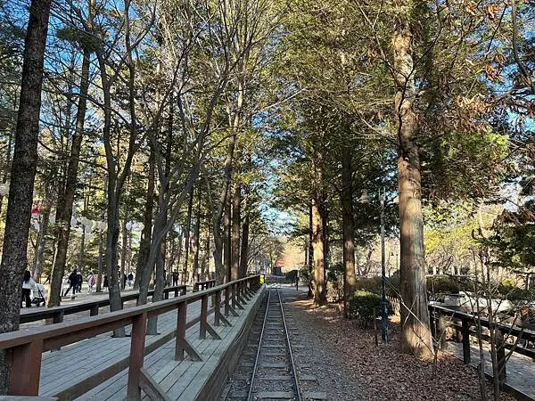 LINE_ALBUM_20241231江原道Day03_250117_195