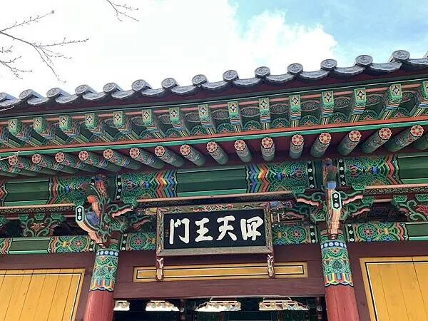 LINE_ALBUM_20241230江原道Day02_250117_375