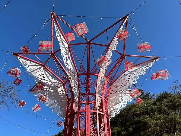 LINE_ALBUM_20241231江原道Day03_250117_223