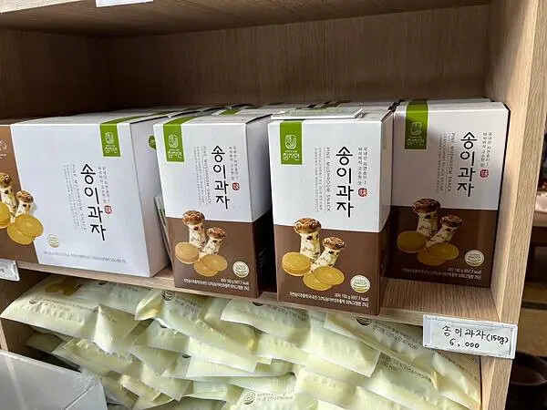 LINE_ALBUM_20241230江原道Day02_250117_165