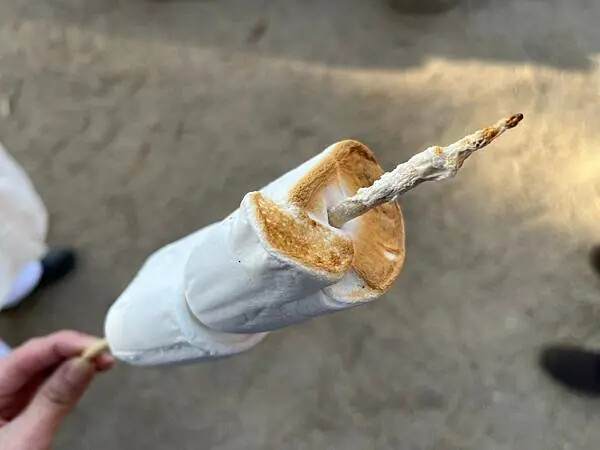 LINE_ALBUM_20241231江原道Day03_250117_178