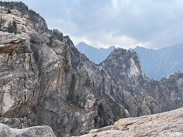 LINE_ALBUM_20241230江原道Day02_250117_201