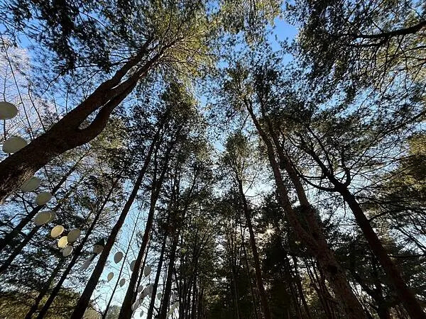 LINE_ALBUM_20241231江原道Day03_250117_202