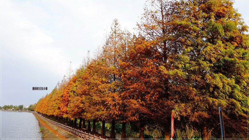 /tmp/phpFSDGt7 /tmp/phpFSDGt7