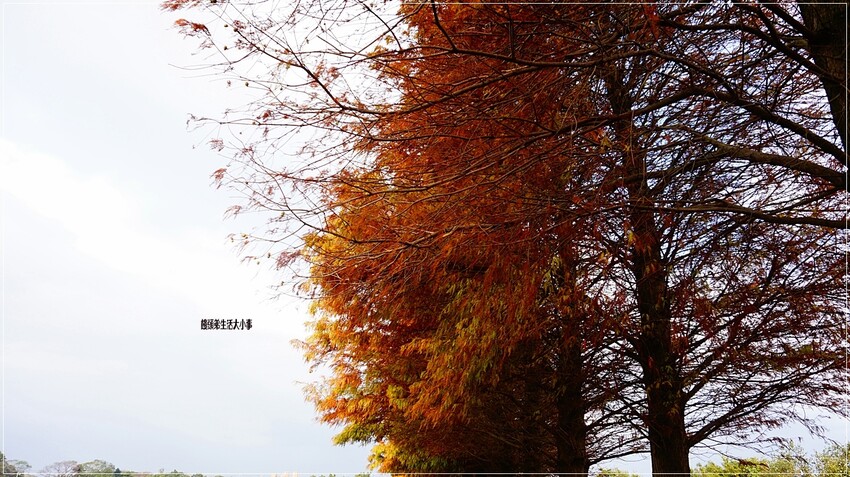 /tmp/phpfFmP7x /tmp/phpfFmP7x