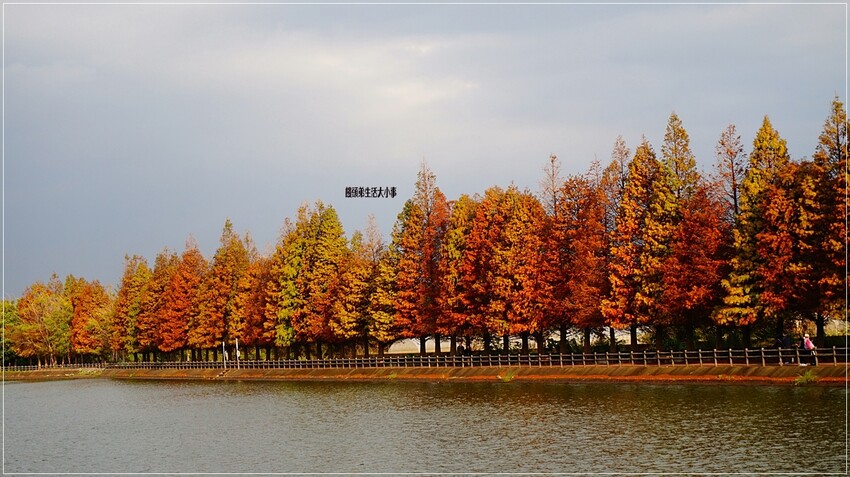 /tmp/phpsaqYP5 /tmp/phpsaqYP5