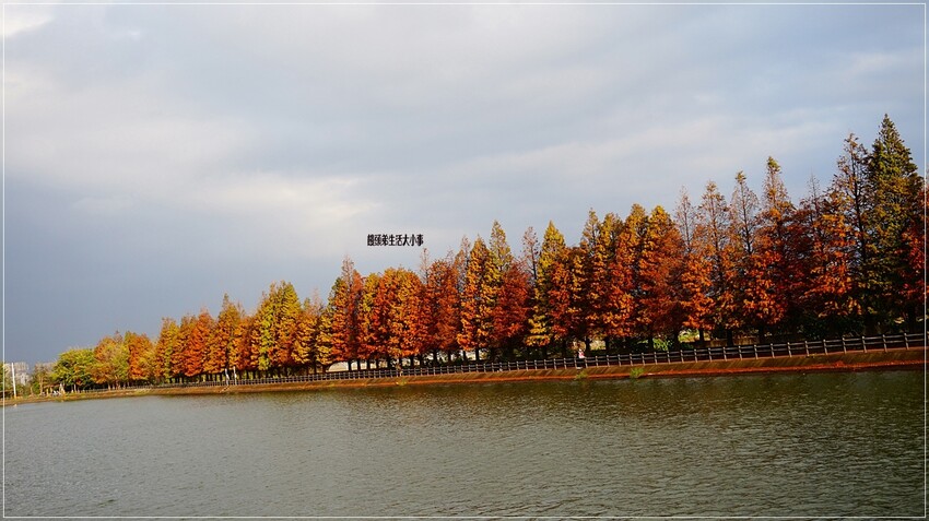 /tmp/phpGLWq1n /tmp/phpGLWq1n