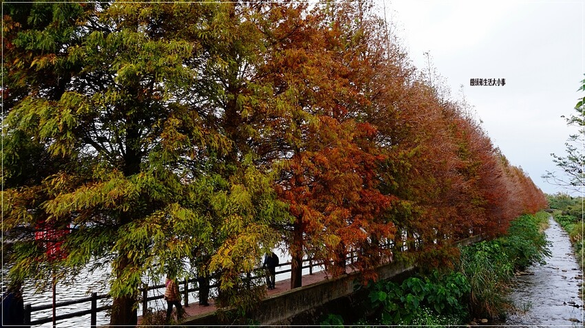 /tmp/phpCe2w3U /tmp/phpCe2w3U