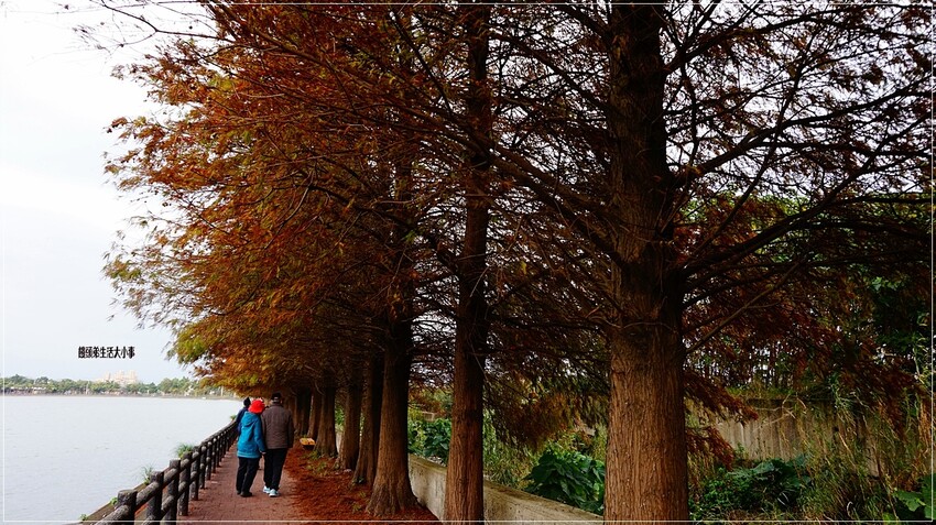 /tmp/phpYiZJj1 /tmp/phpYiZJj1