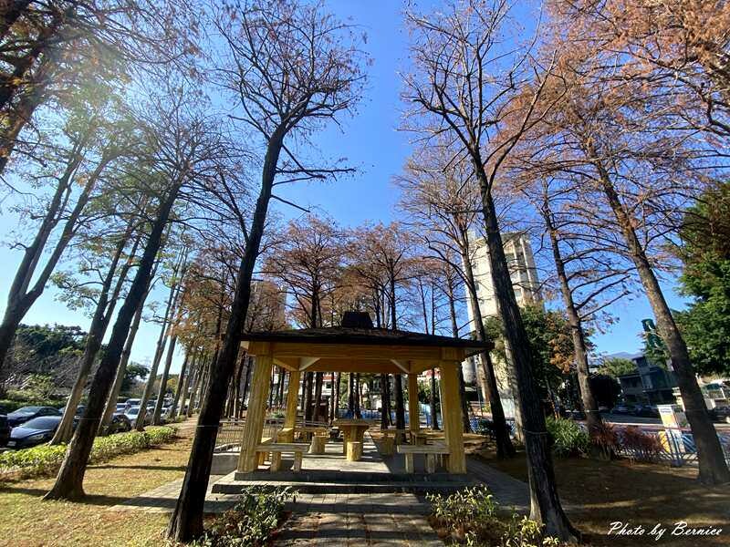 至誠公園落羽松~蕭條凋零微微破碎的美感 @Bernice的隨手筆記