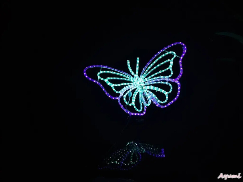 [高雄過年系列]2025高雄鳳山光之季就在大東公園/充滿可愛