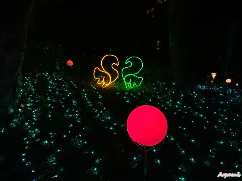 [高雄過年系列]2025高雄鳳山光之季就在大東公園/充滿可愛