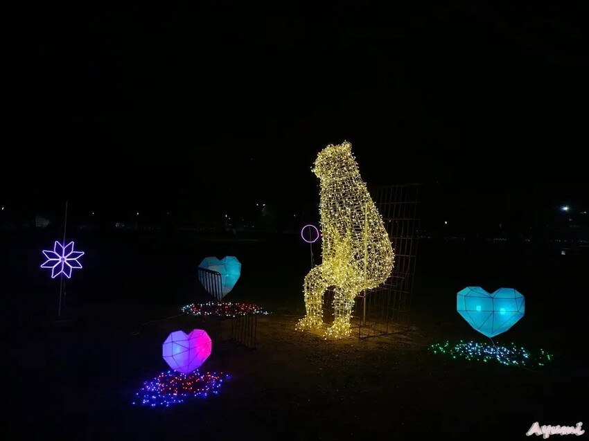 [高雄過年系列]2025高雄鳳山光之季就在大東公園/充滿可愛
