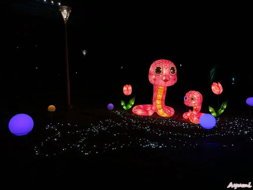 [高雄過年系列]2025高雄鳳山光之季就在大東公園/充滿可愛