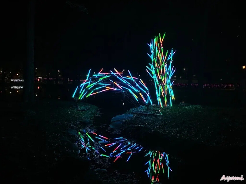 [高雄過年系列]2025高雄鳳山光之季就在大東公園/充滿可愛