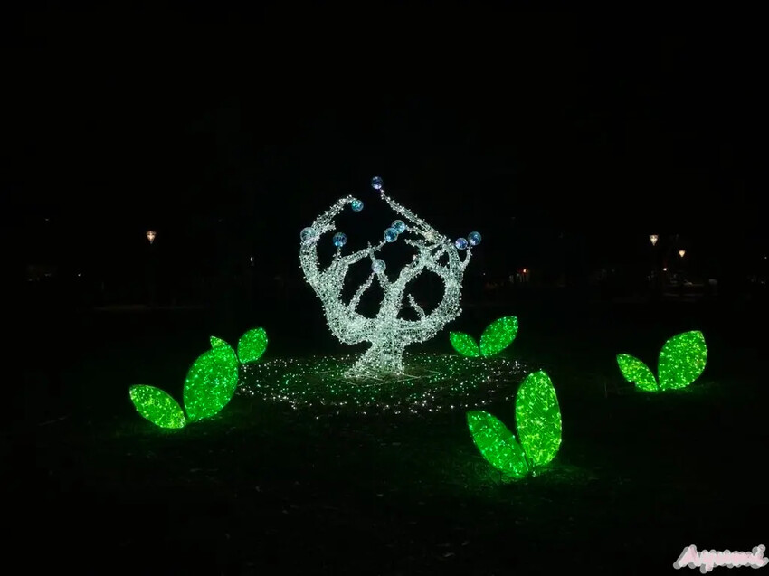 [高雄過年系列]2025高雄鳳山光之季就在大東公園/充滿可愛