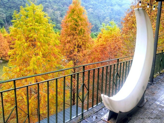 2024.12.13 造訪苗栗縣南庄雲水溫泉度假莊園落羽松湖秘境莊園(Bald Cypress lake landscape at Cloud-Water Resort Villa),   , Miaoli county, North Taiwan, photos by SJKen , Dec 13, 2024.