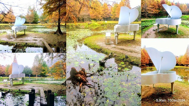 2024.12.13 造訪苗栗縣南庄雲水溫泉度假莊園落羽松湖秘境莊園(Bald Cypress lake landscape at Cloud-Water Resort Villa),   , Miaoli county, North Taiwan, photos by SJKen , Dec 13, 2024.