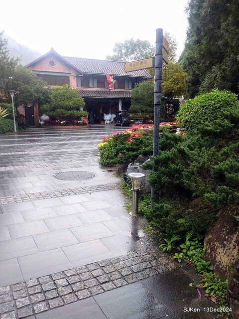 2024.12.13 造訪苗栗縣南庄雲水溫泉度假莊園落羽松湖秘境莊園(Bald Cypress lake landscape at Cloud-Water Resort Villa),   , Miaoli county, North Taiwan, photos by SJKen , Dec 13, 2024.