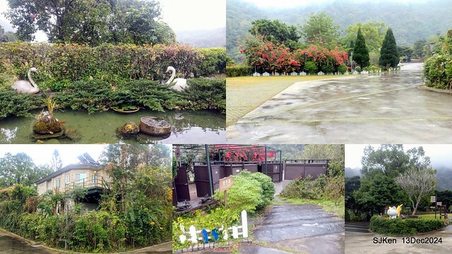 2024.12.13 造訪苗栗縣南庄雲水溫泉度假莊園落羽松湖秘境莊園(Bald Cypress lake landscape at Cloud-Water Resort Villa),   , Miaoli county, North Taiwan, photos by SJKen , Dec 13, 2024.