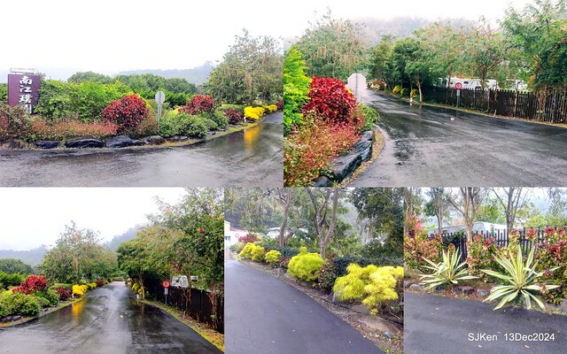 2024.12.13 造訪苗栗縣南庄雲水溫泉度假莊園落羽松湖秘境莊園(Bald Cypress lake landscape at Cloud-Water Resort Villa),   , Miaoli county, North Taiwan, photos by SJKen , Dec 13, 2024.