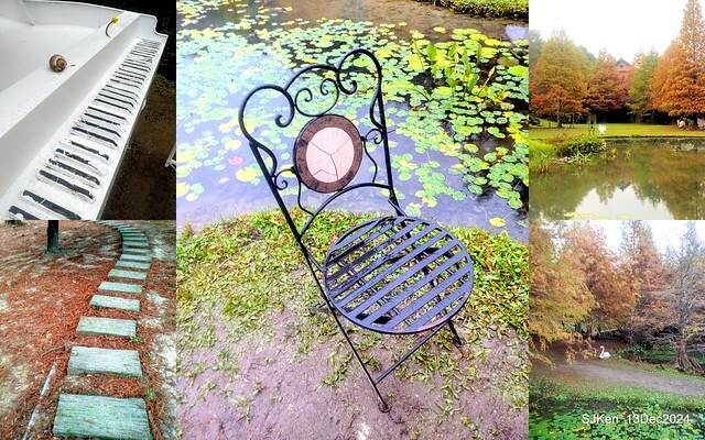 2024.12.13 造訪苗栗縣南庄雲水溫泉度假莊園落羽松湖秘境莊園(Bald Cypress lake landscape at Cloud-Water Resort Villa),   , Miaoli county, North Taiwan, photos by SJKen , Dec 13, 2024.