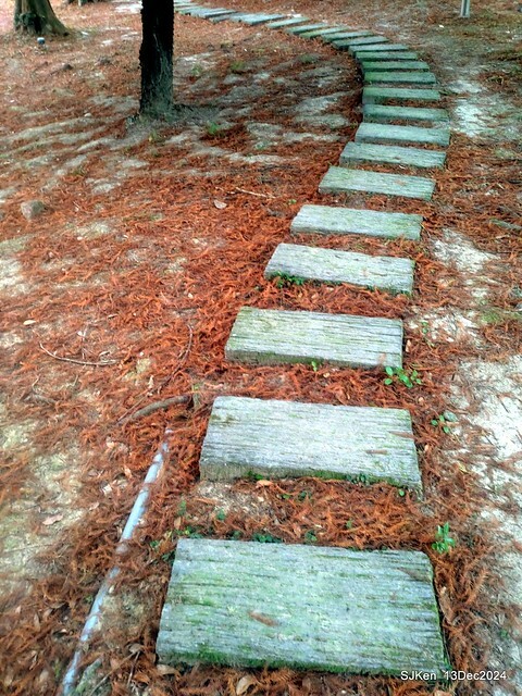 2024.12.13 造訪苗栗縣南庄雲水溫泉度假莊園落羽松湖秘境莊園(Bald Cypress lake landscape at Cloud-Water Resort Villa),   , Miaoli county, North Taiwan, photos by SJKen , Dec 13, 2024.