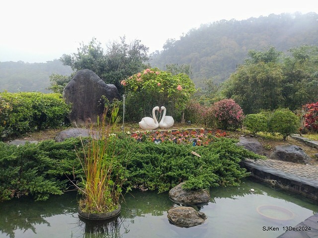 2024.12.13 造訪苗栗縣南庄雲水溫泉度假莊園落羽松湖秘境莊園(Bald Cypress lake landscape at Cloud-Water Resort Villa),   , Miaoli county, North Taiwan, photos by SJKen , Dec 13, 2024.