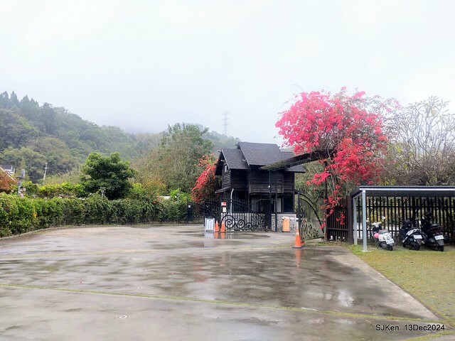 2024.12.13 造訪苗栗縣南庄雲水溫泉度假莊園落羽松湖秘境莊園(Bald Cypress lake landscape at Cloud-Water Resort Villa),   , Miaoli county, North Taiwan, photos by SJKen , Dec 13, 2024.