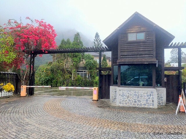 2024.12.13 造訪苗栗縣南庄雲水溫泉度假莊園落羽松湖秘境莊園(Bald Cypress lake landscape at Cloud-Water Resort Villa),   , Miaoli county, North Taiwan, photos by SJKen , Dec 13, 2024.