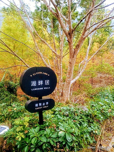 2024.12.13 造訪苗栗縣南庄雲水溫泉度假莊園落羽松湖秘境莊園(Bald Cypress lake landscape at Cloud-Water Resort Villa),   , Miaoli county, North Taiwan, photos by SJKen , Dec 13, 2024.