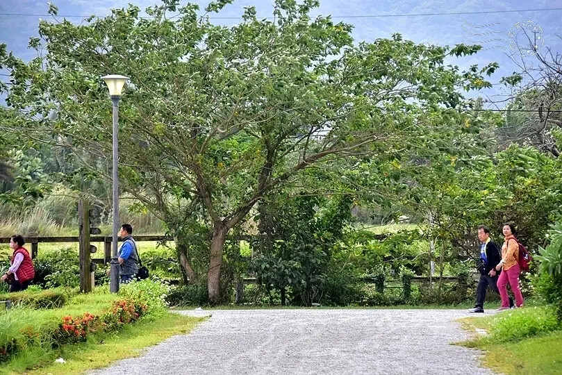 台開心農場 台開心農場