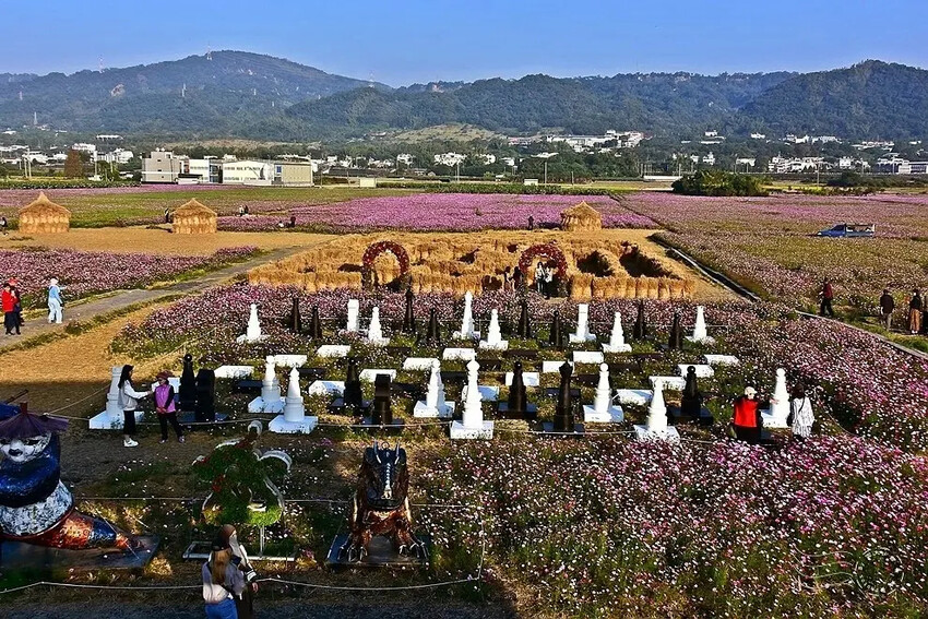 彰化田中【望高瞭花海季】