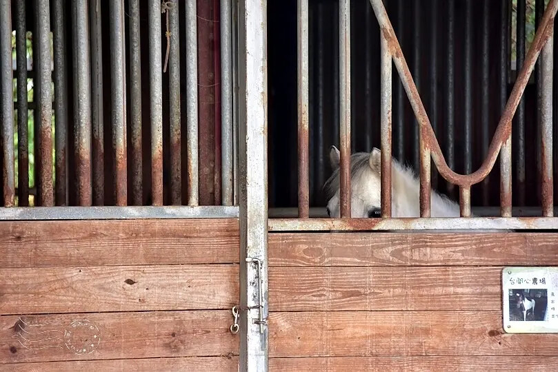 台開心農場 台開心農場