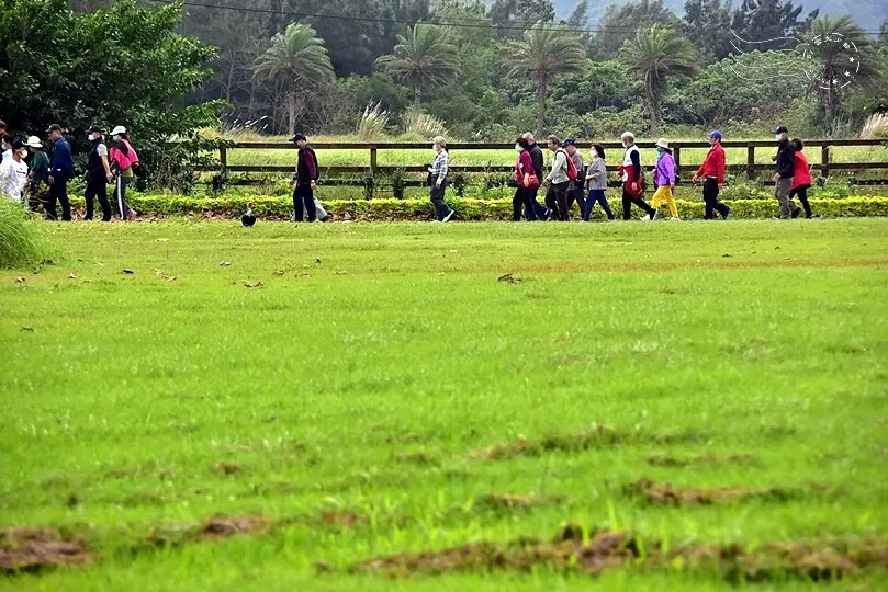 台開心農場 台開心農場