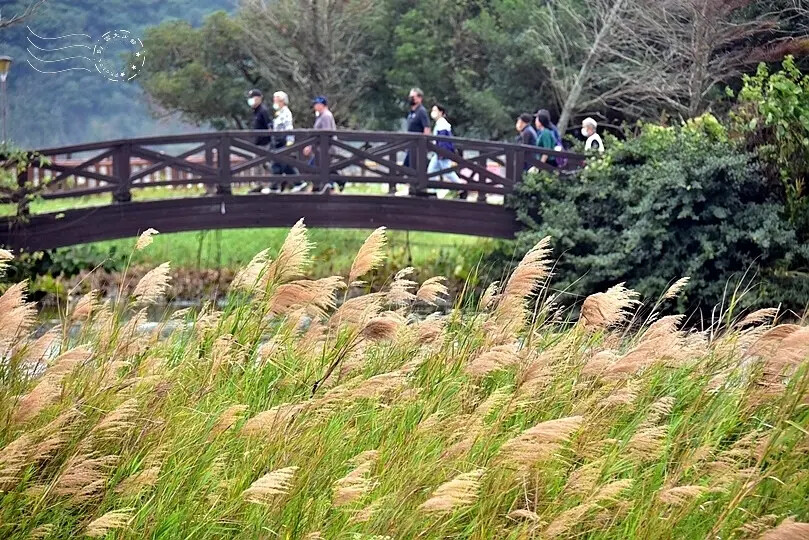 台開心農場 台開心農場