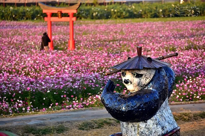 彰化田中【望高瞭花海季】