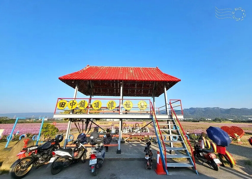 彰化田中【望高瞭花海季】