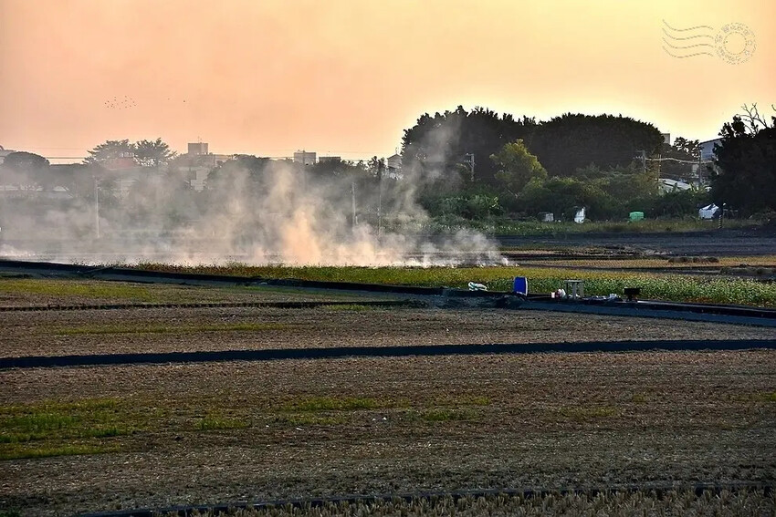 彰化田中望高瞭稻田